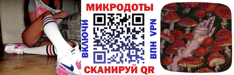 Псилоцибиновые грибы Psilocybe  blacksprut   Барабинск 